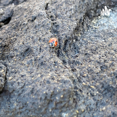 #031 2ヵ月ぶり!近況報告です。